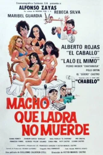 Póster de Macho que ladra no muerde