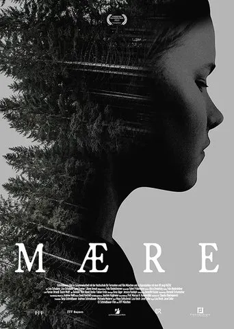 Póster de Mære