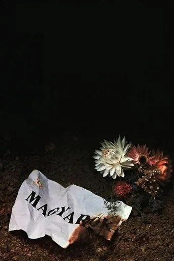 Póster de Magyarok