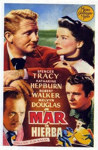 Póster de Mar de hierba