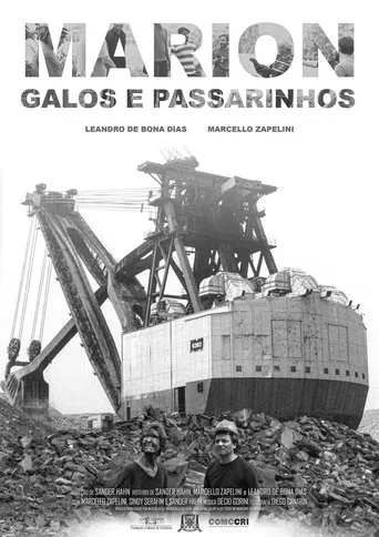 Póster de Marion, Galos e Passarinhos