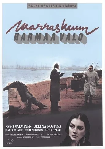 Póster de Marraskuun harmaa valo