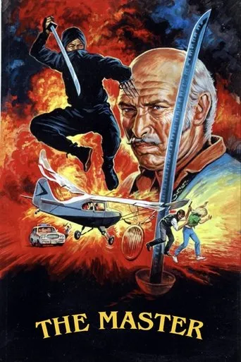Póster de Master Ninja