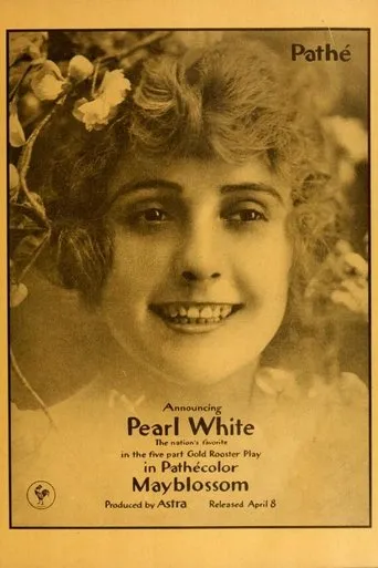 Póster de Mayblossom