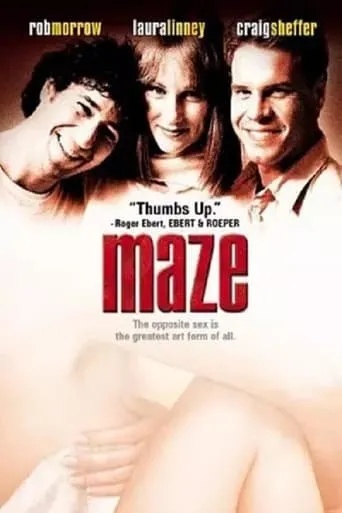 Póster de Maze