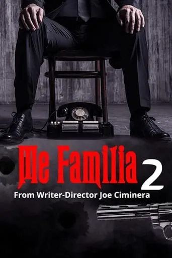 Póster de Me Familia 2