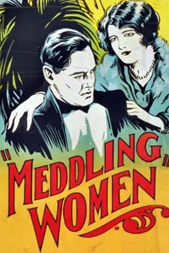 Póster de Meddling Women