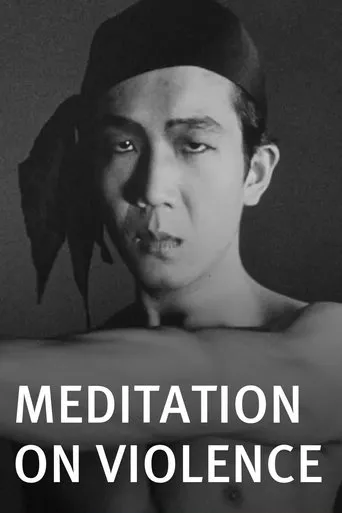 Póster de Meditation on Violence