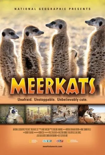 Póster de Meerkats 3D