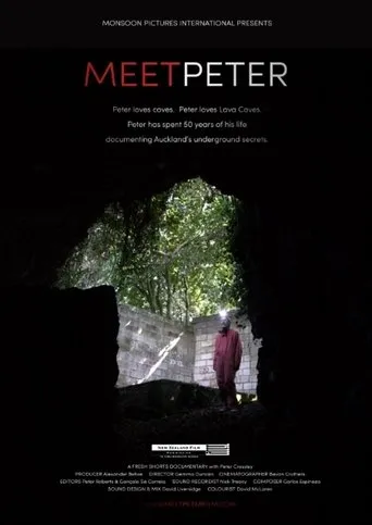 Póster de Meet Peter