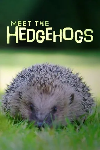 Póster de Meet the Hedgehogs