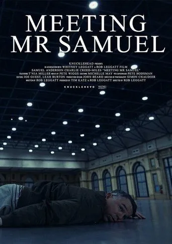 Póster de Meeting Mr Samuel