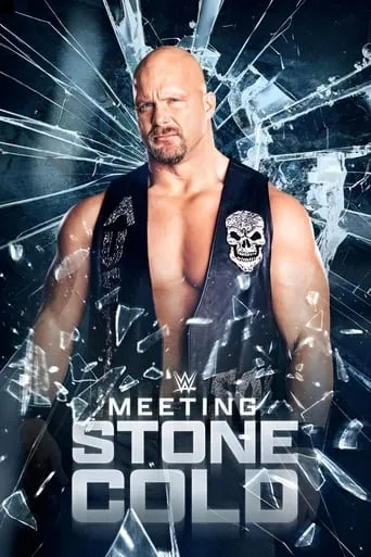 Póster de Meeting Stone Cold
