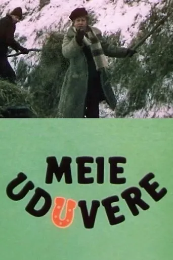 Póster de Meie Uduvere