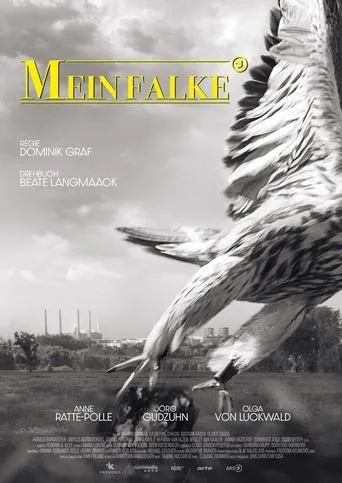 Póster de Mein Falke