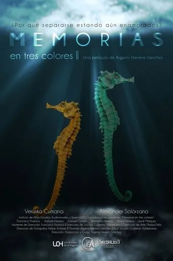 Póster de Memorias En Tres Colores