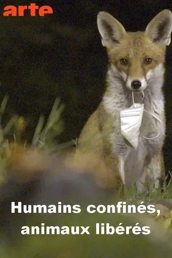 Póster de Menschen eingesperrt, Tiere befreit
