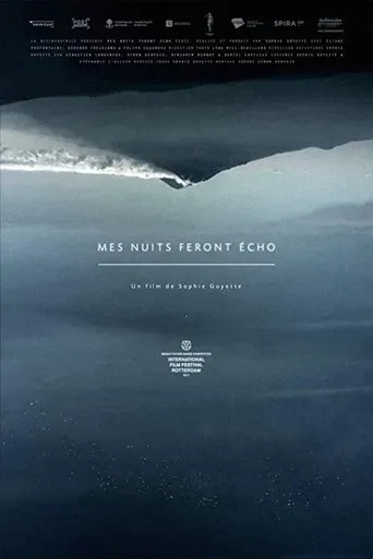 Póster de Mes nuits feront écho