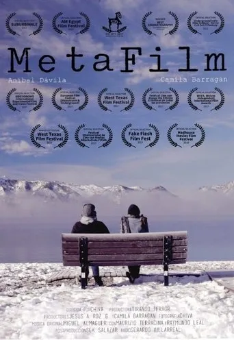 Póster de MetaFilm