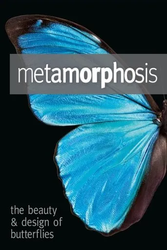 Póster de Metamorphosis: The Design and Beauty of Butterflies