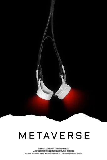 Póster de Metaverse