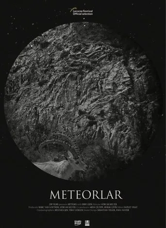 Póster de Meteorlar