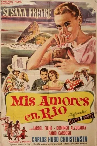 Póster de Meus Amores no Rio