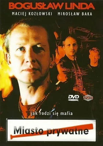 Póster de Miasto prywatne
