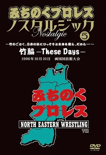 Póster de Michinoku Pro 3rd Anniversary: These Days