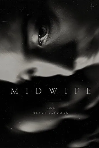 Póster de Midwife