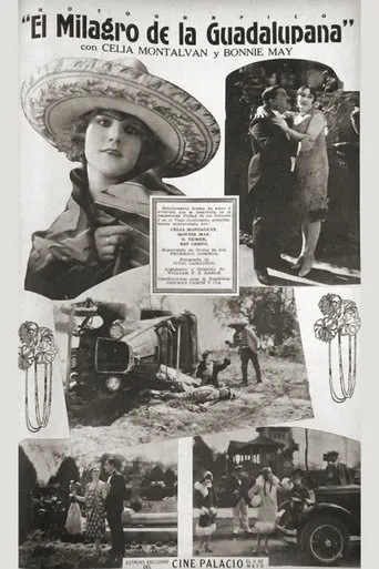 Póster de Milagros de la Guadalupana