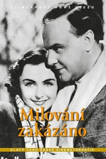 Póster de Milování zakázáno