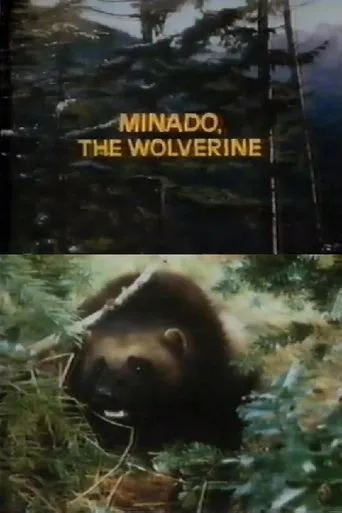 Póster de Minado, the Wolverine
