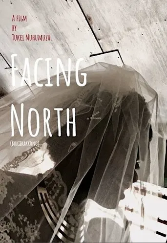 Póster de Mirando al Norte