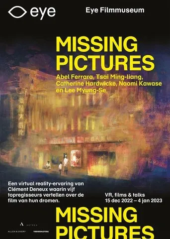 Póster de Missing Pictures