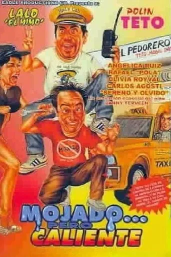 Póster de Mojado... pero caliente