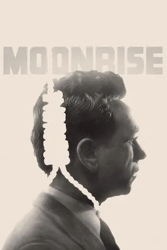 Póster de Moonrise