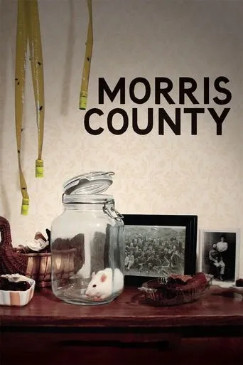 Póster de Morris County