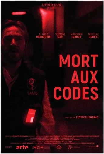 Póster de Mort aux Codes