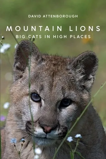 Póster de Mountain Lions: Big Cats in High Places