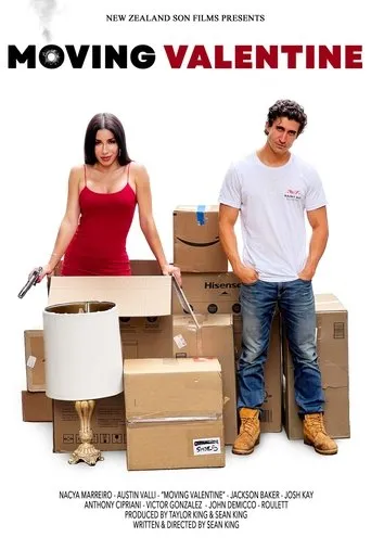 Póster de Moving Valentine