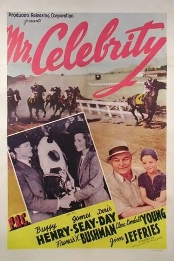 Póster de Mr. Celebrity