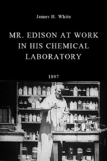 Póster de Mr. Edison at Work in His Chemical Laboratory