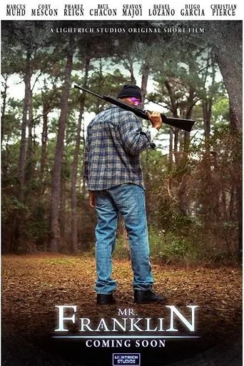 Póster de Mr. Franklin