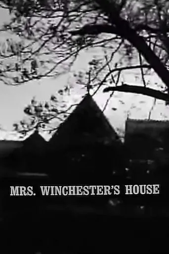 Póster de Mrs. Winchester's House