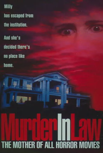 Póster de Murder in Law