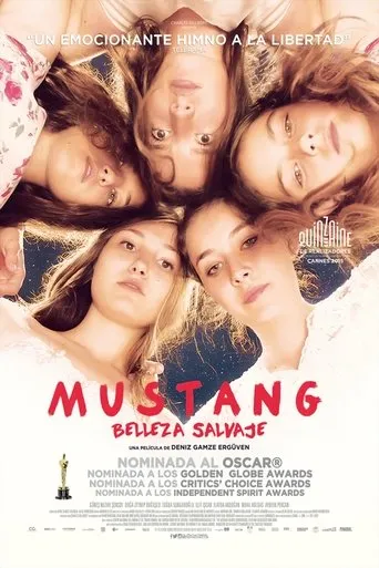 Póster de Mustang
