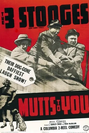 Póster de Mutts to You