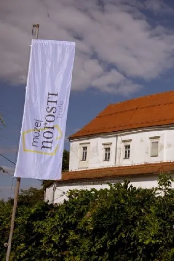 Póster de Muzej norosti