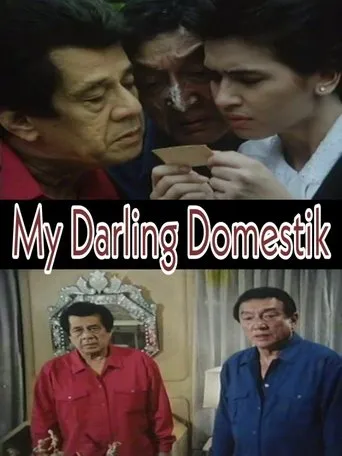 Póster de My Darling Domestik